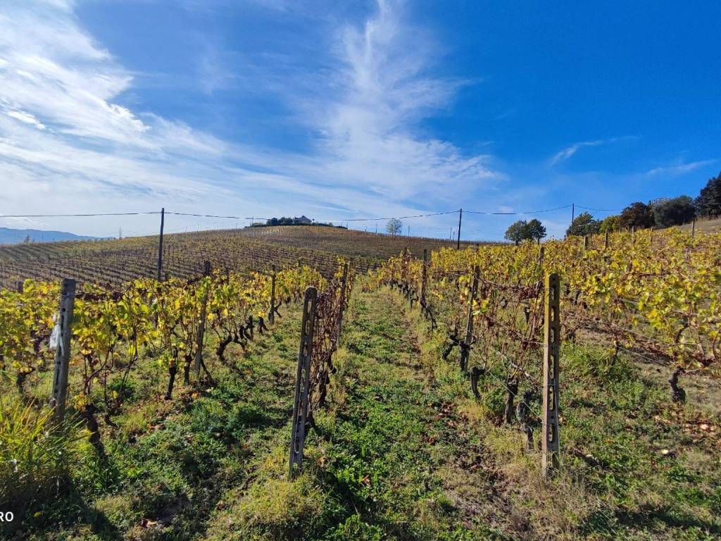 Terreno a Nizza monferrato - Foto 4
