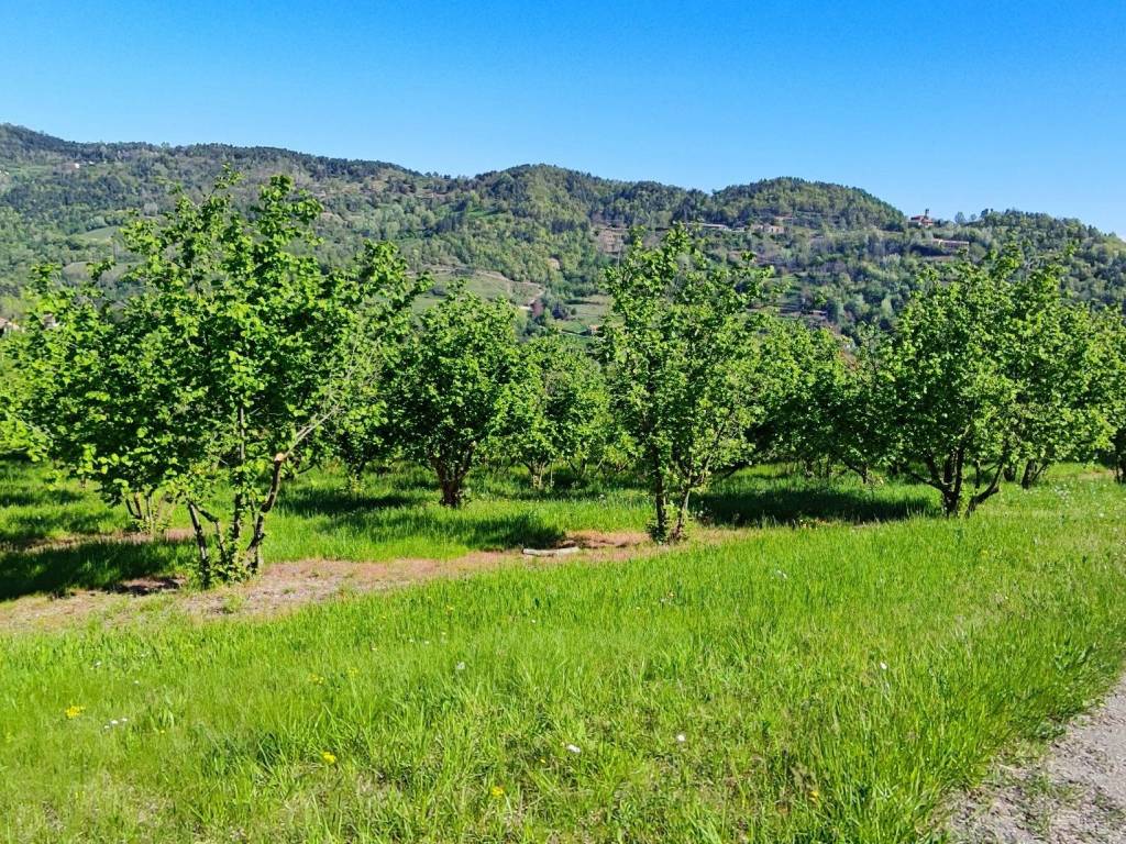 Terreno a Alba in Via Duccio Galimberti - Foto 2