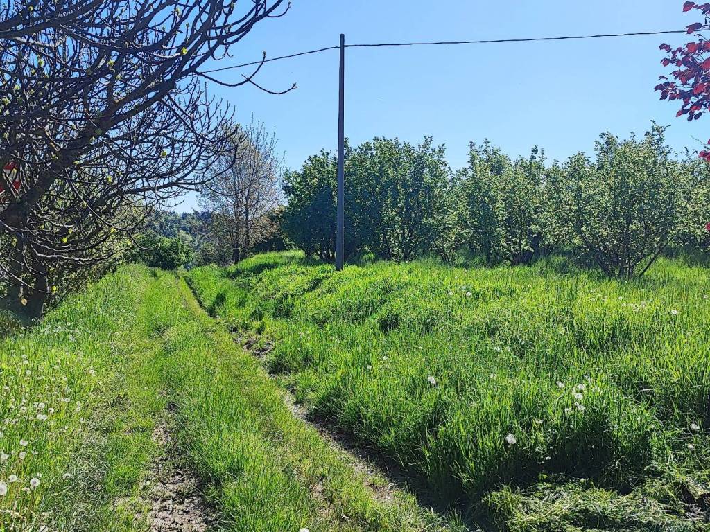 Terreno a Alba in Via Duccio Galimberti - Foto 3