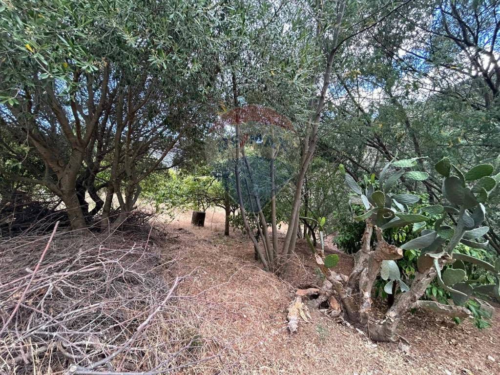Rustico / casale a Sinnai in località monte cresia - Foto 4
