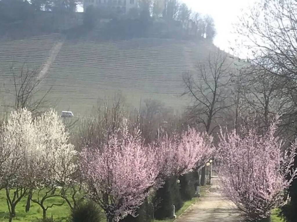 Villa a Alba in Via Sp3Bis - Foto 5