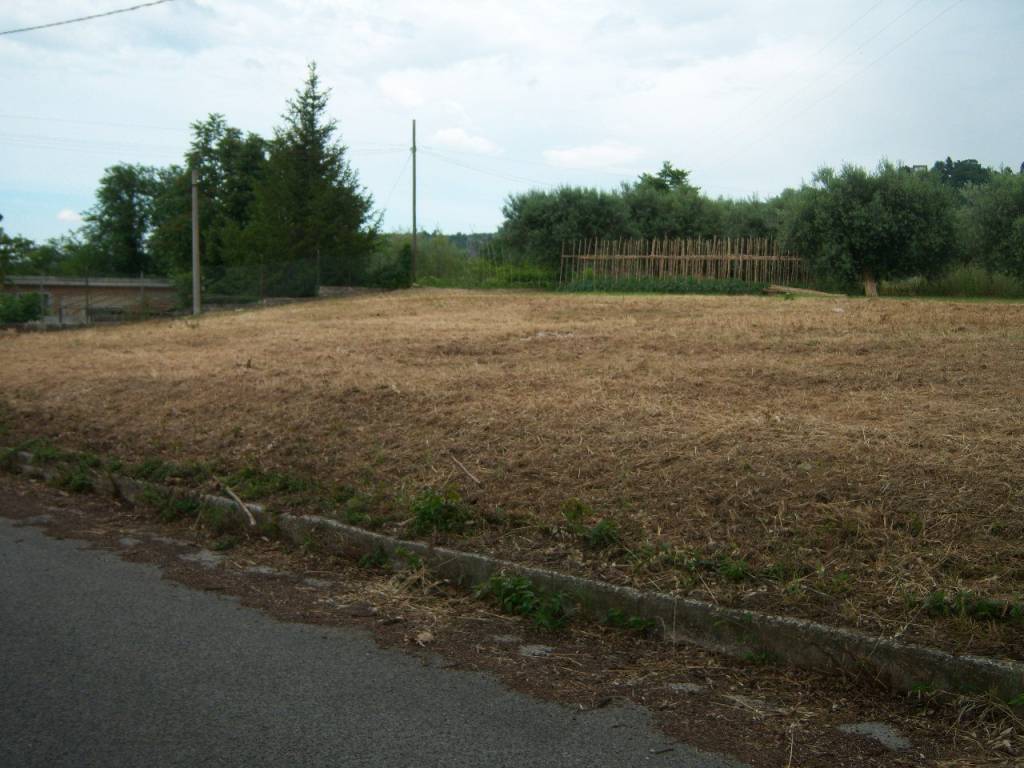 Terreno a Alanno - Foto 2