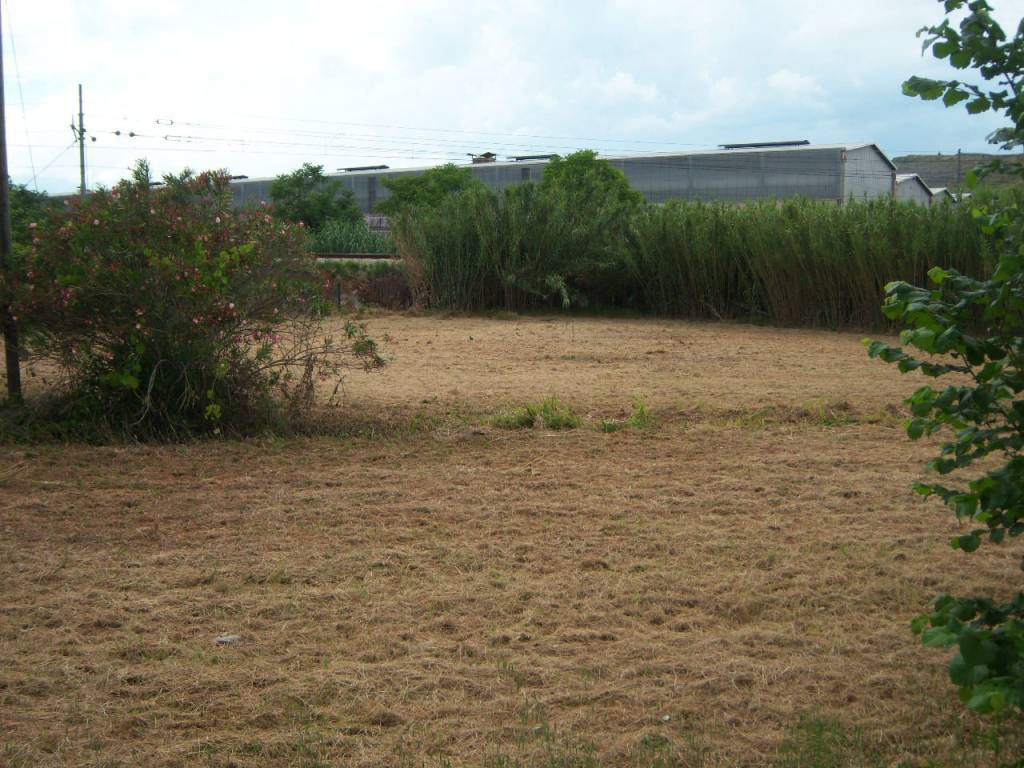 Terreno a Alanno - Foto 4