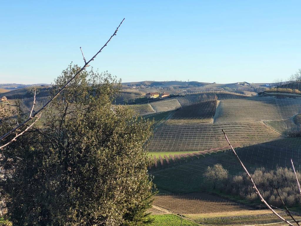 Terreno a Canale in Via Monteu Roero - Foto 5