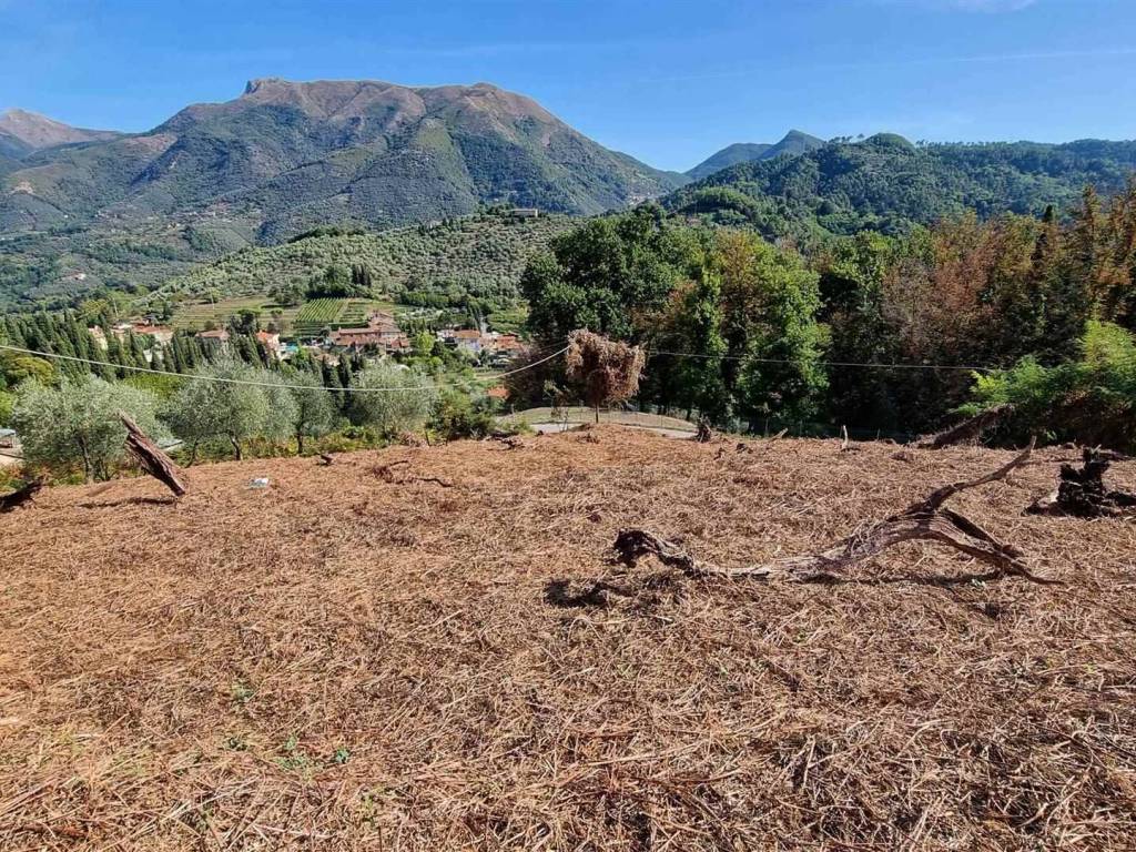 Rustico / casale a Camaiore - Foto 4
