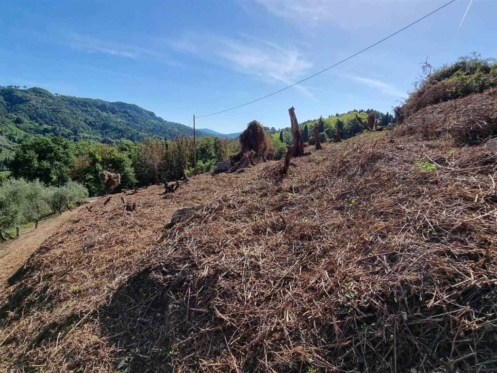 Rustico / casale a Camaiore - Foto 5