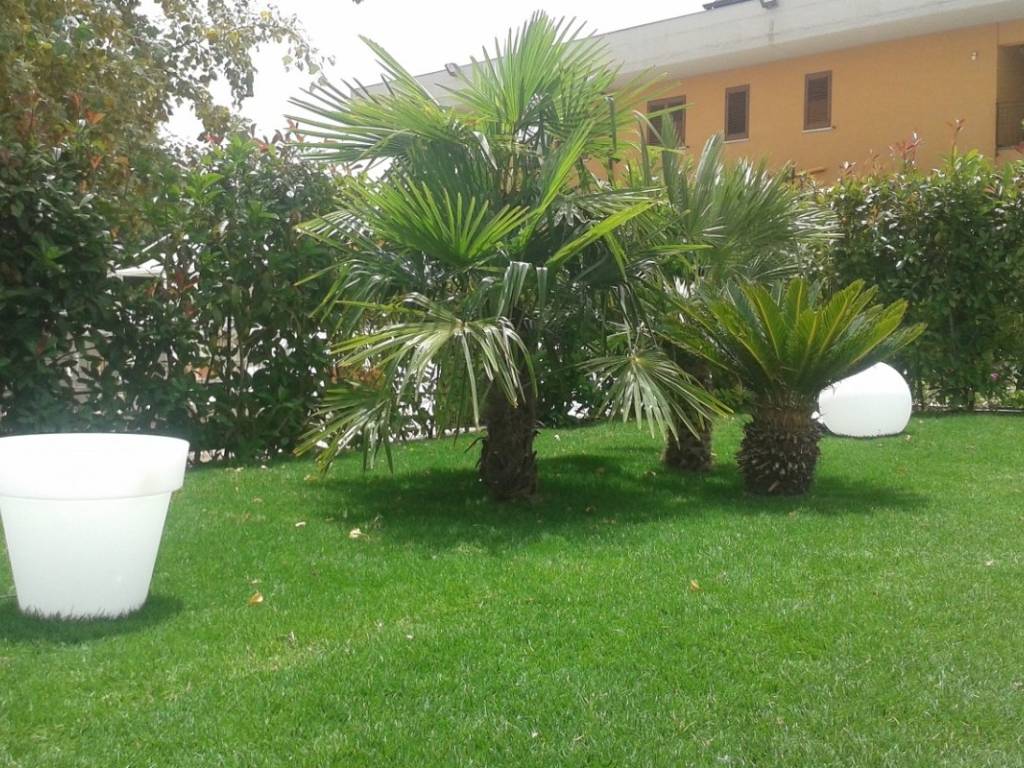 Rustico / casale a Piana degli albanesi in Contrada Lasi-Brigna - Foto 2