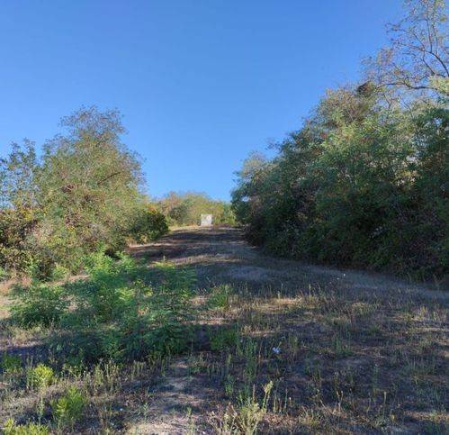Terreno a Torre san patrizio in Strada Provinciale 219 - Foto 2