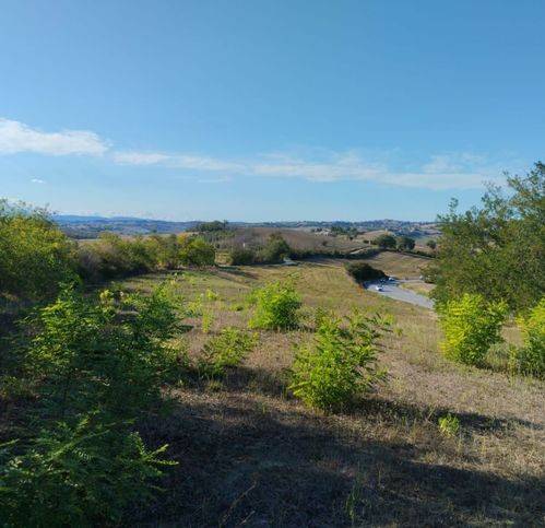 Terreno a Torre san patrizio in Strada Provinciale 219 - Foto 3