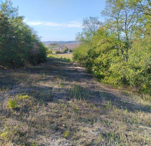 Terreno a Torre san patrizio in Strada Provinciale 219 - Foto 4