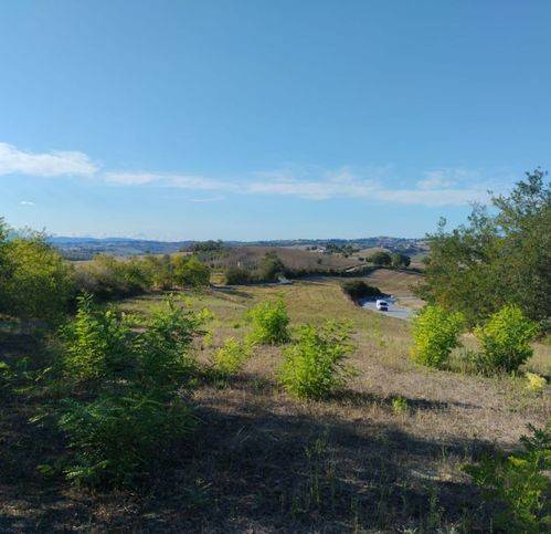 Terreno a Torre san patrizio in Strada Provinciale 219 - Foto 5