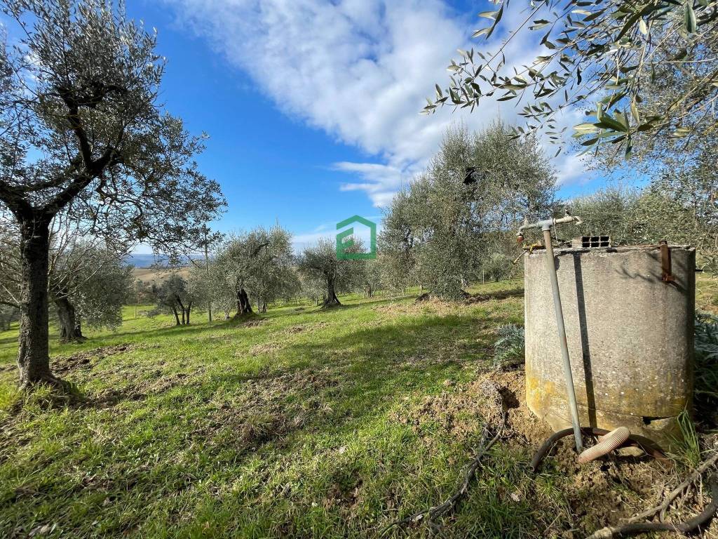 Terreno a Amelia in Piazza 3 Novembre - Foto 2