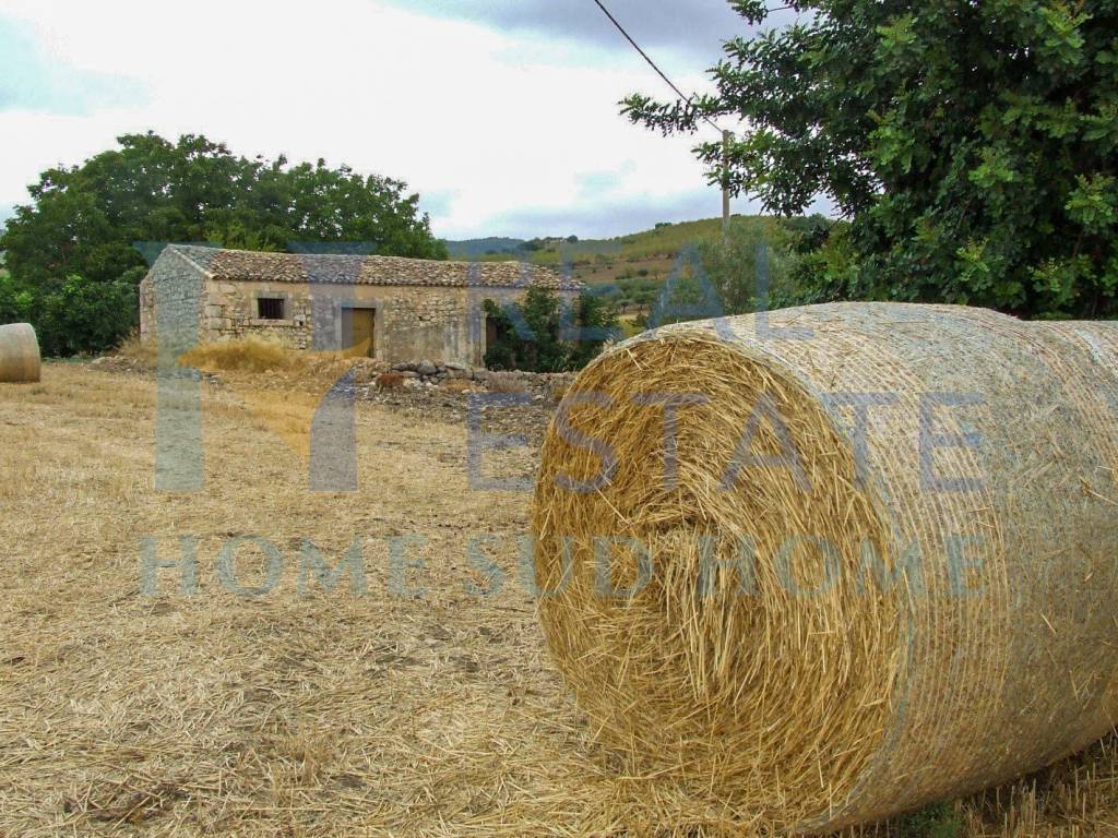 Rustico / casale a Noto in Via Tommaso Fazello, 228 - Foto 2