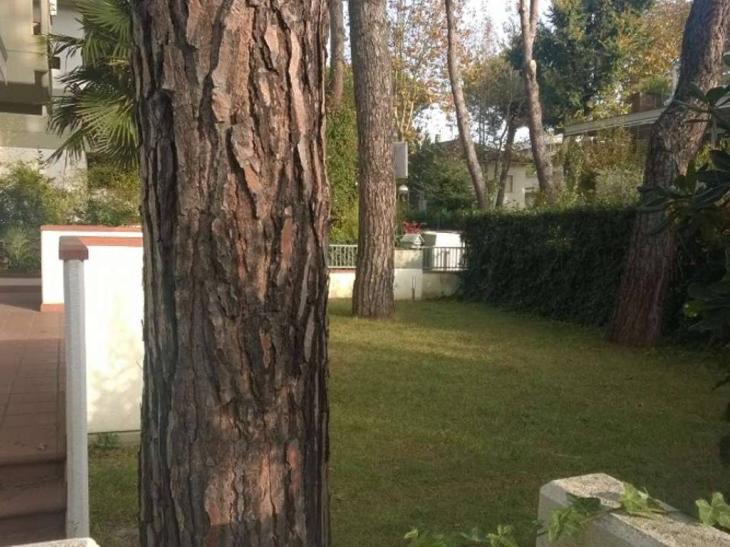 Casa indipendente a Cervia in via mercadante - Foto 3