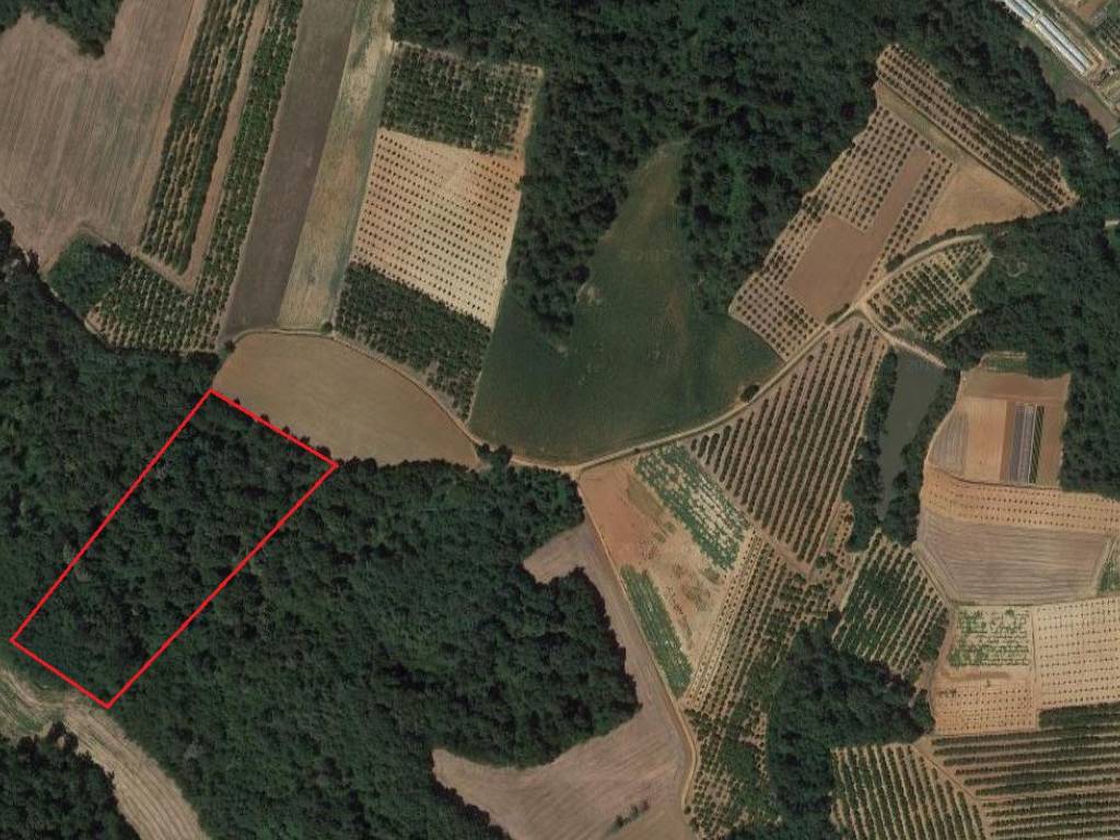 Terreno a Baldissero d'alba in Strada Provinciale 119, 101 - Foto 3