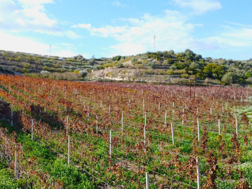 Rustico / casale a Noto in Contrada Zisola - Foto 3
