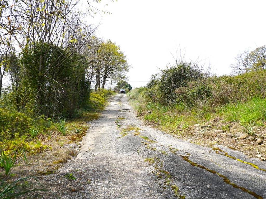 Terreno a Montecorvino pugliano in Via Macchia Morese - Foto 5