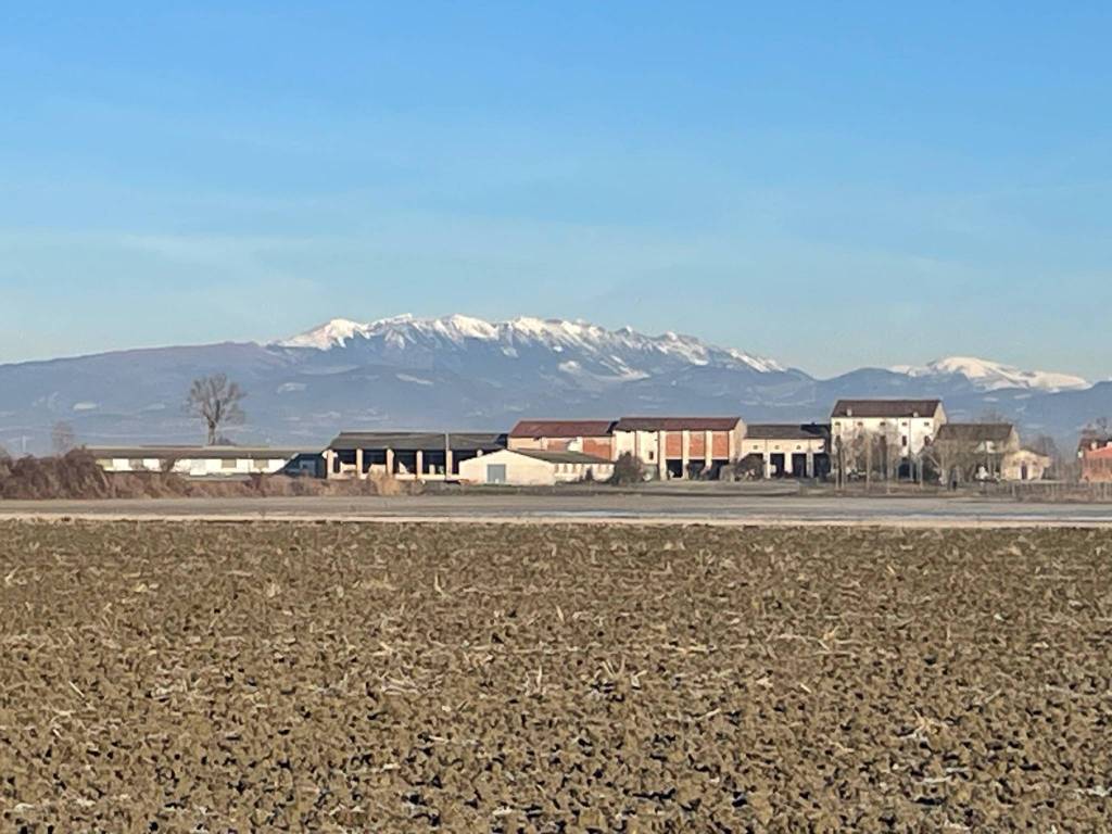 Rustico / casale a Isola della scala - Foto 2