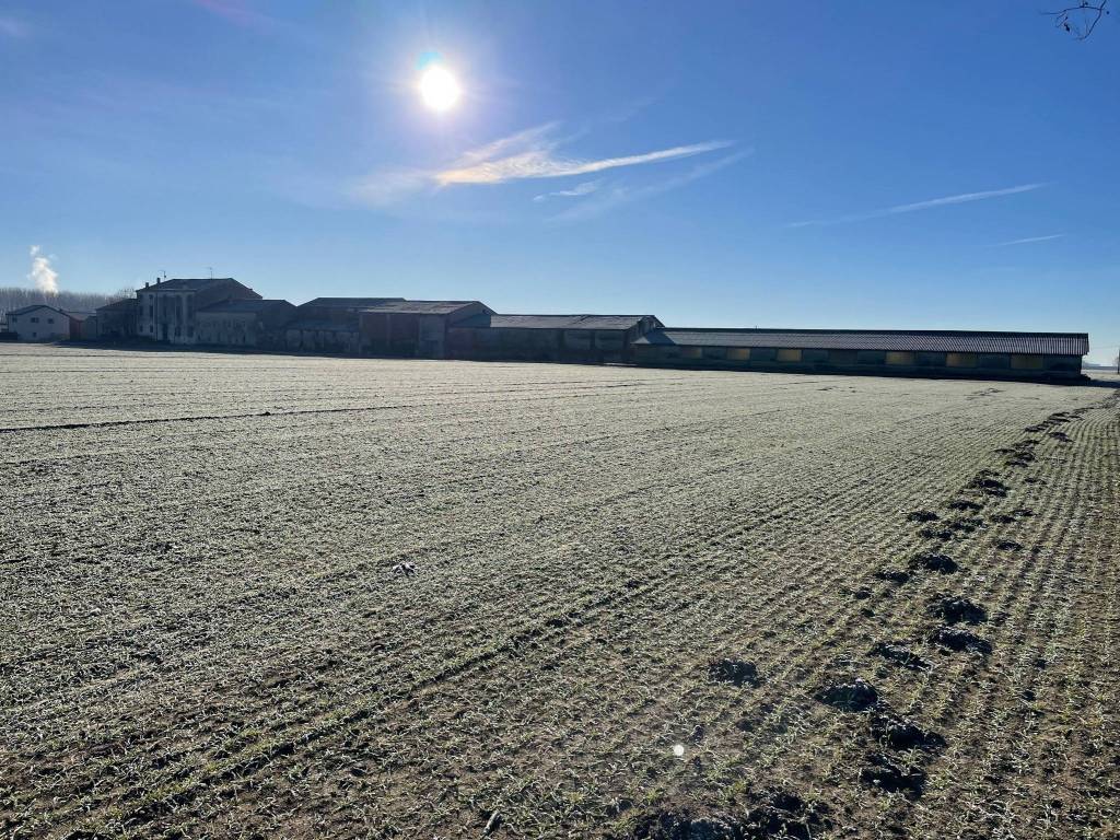 Rustico / casale a Isola della scala - Foto 4