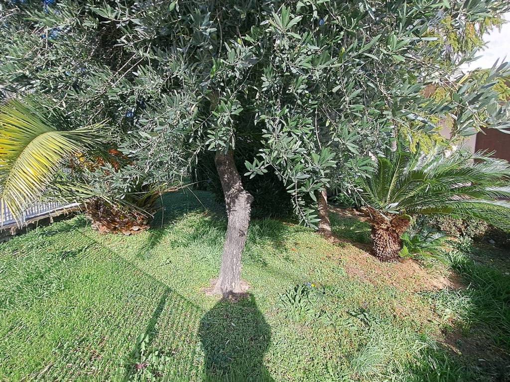 Villetta a schiera a Ortona in Via Macinini - Foto 4