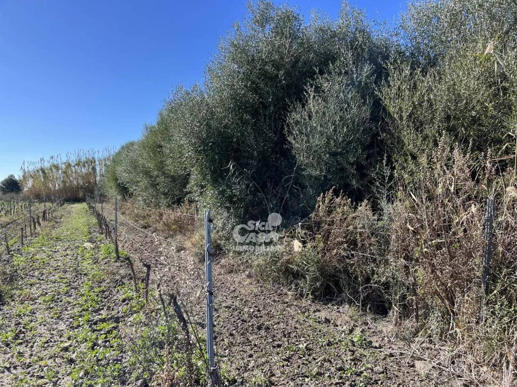 Terreno a Marsala - Foto 3