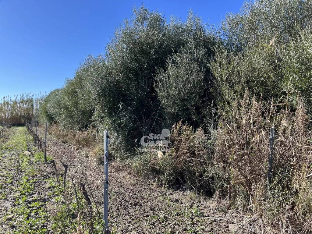 Terreno a Marsala - Foto 4