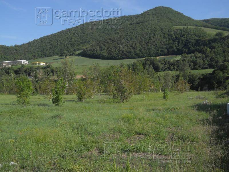 Terreno a Acqualagna - Foto 2