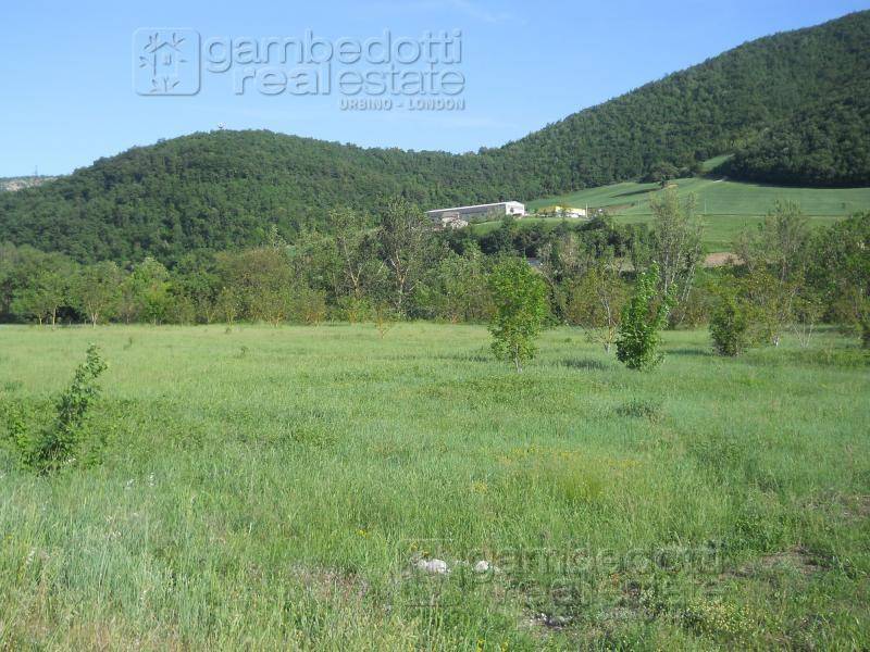 Terreno a Acqualagna - Foto 3