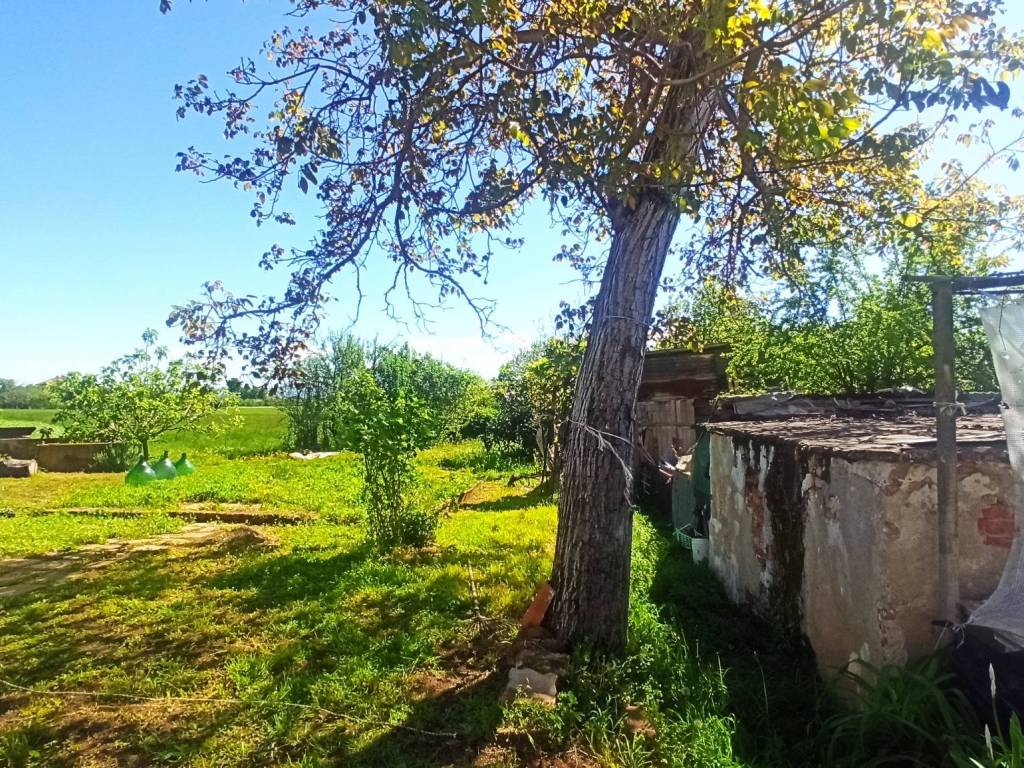Rustico / casale a Carrù in Strada Traversa Calleri, 12 - Foto 4