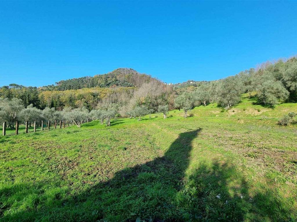 Rustico / casale a Massarosa - Foto 5