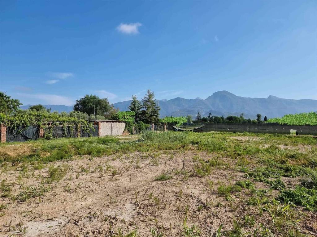Terreno a Camaiore - Foto 2