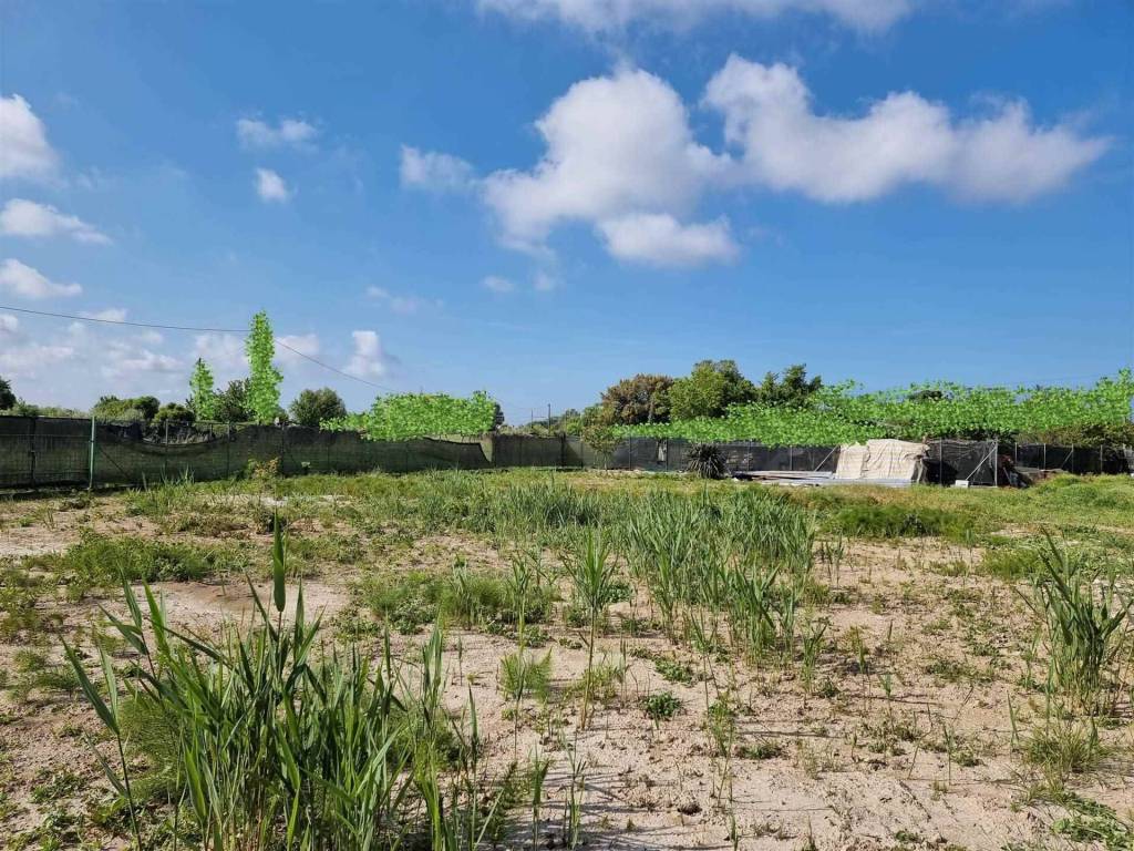 Terreno a Camaiore - Foto 3