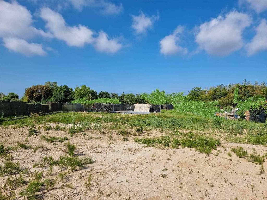 Terreno a Camaiore - Foto 4