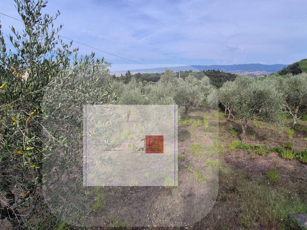 Terreno a Rosignano marittimo in Strada Provinciale della Giunca - Foto 5