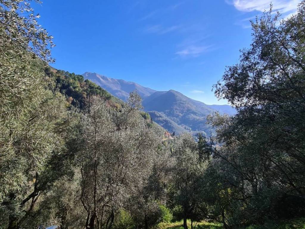 Rustico / casale a Camaiore - Foto 5