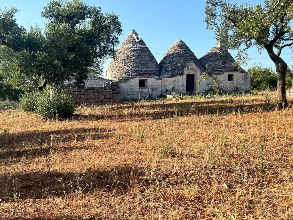 Rustico / casale a Martina franca in Strada Capo Di Gallo Zippo S.N.C. - Foto 2