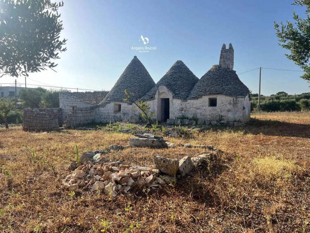 Rustico / casale a Martina franca in Strada Capo Di Gallo Zippo S.N.C. - Foto 4