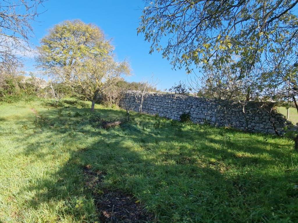 Rustico / casale a Ragusa in SP10, 1 - Foto 2