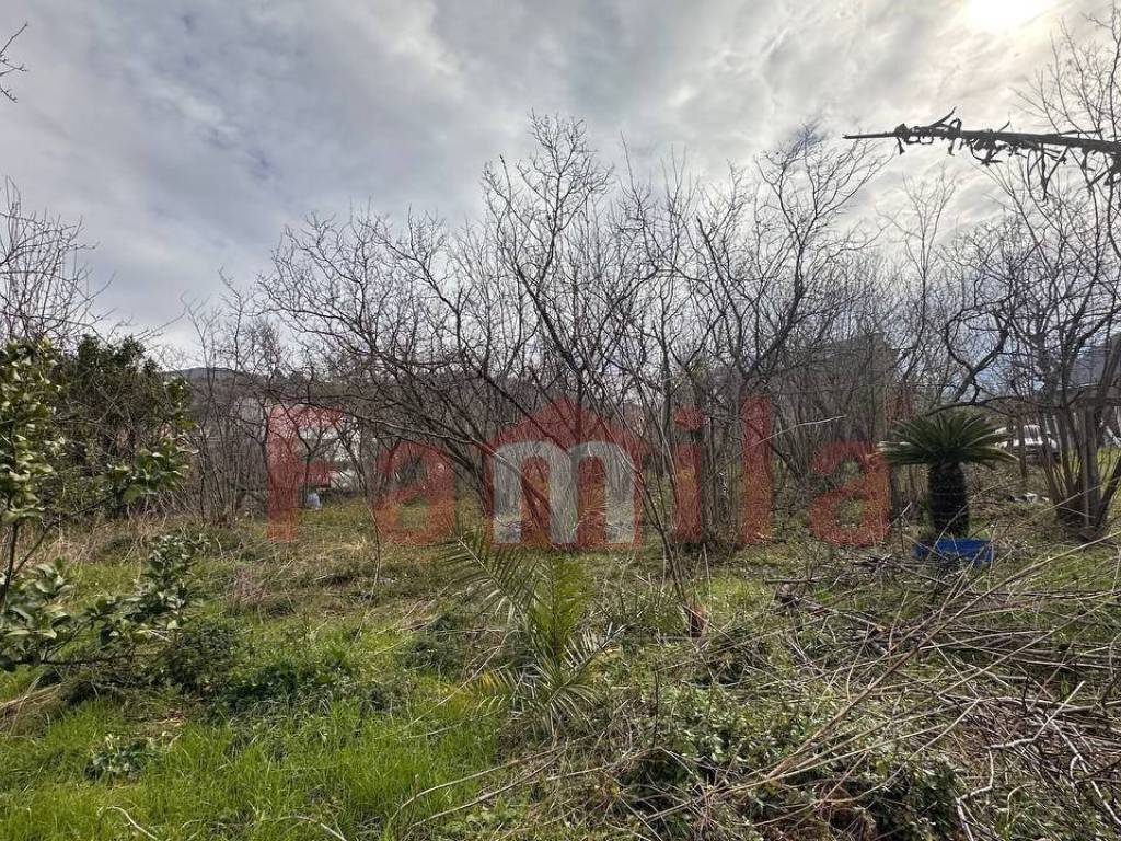 Terreno a Mugnano del cardinale in Località Tirone o Vignale - Foto 3