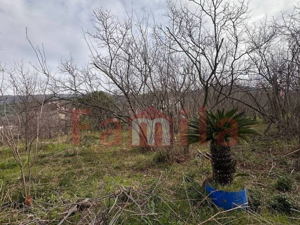 Terreno a Mugnano del cardinale in Località Tirone o Vignale - Foto 5