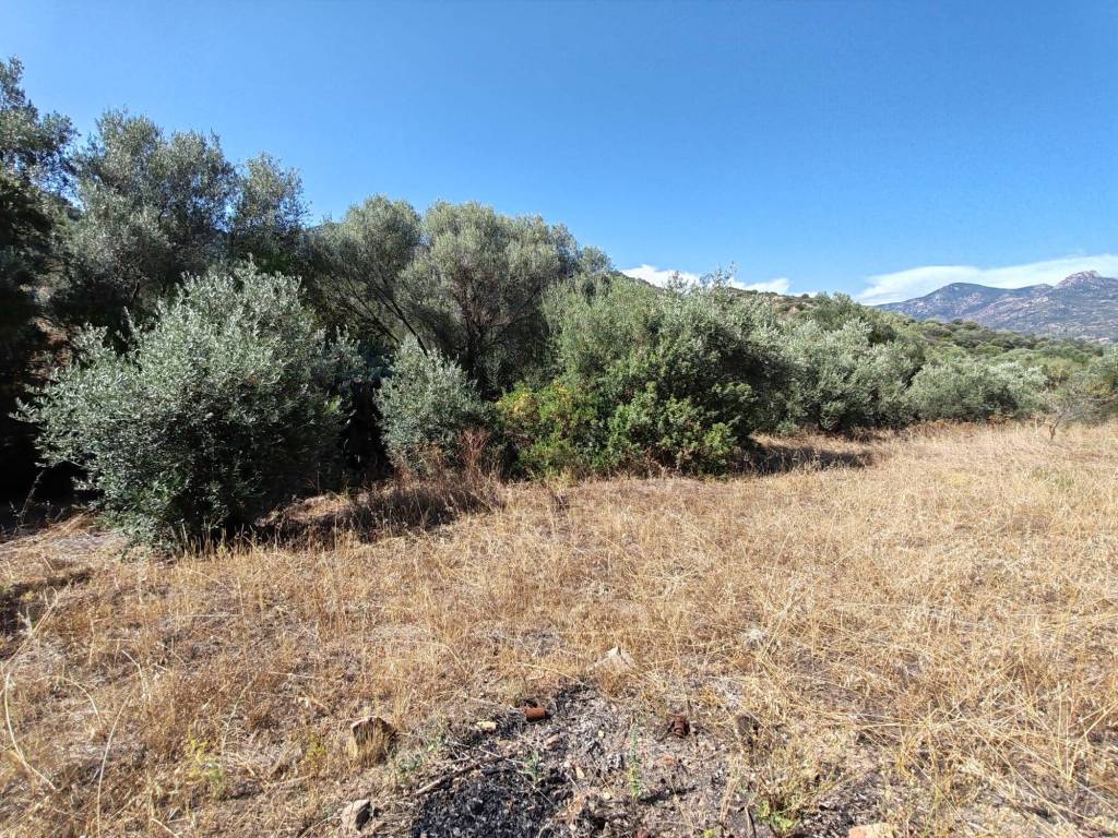 Terreno a Sinnai in Via dei Bucaneve - Foto 4