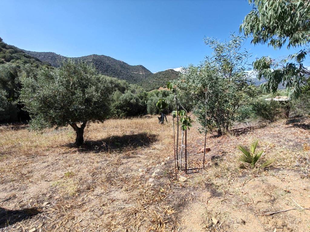 Terreno a Sinnai in Via dei Bucaneve - Foto 5