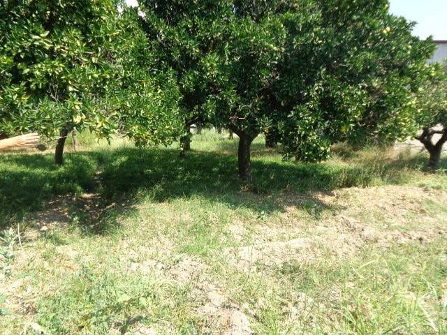 Terreno a Marina di gioiosa ionica in Strada Galea, 38 - Foto 2