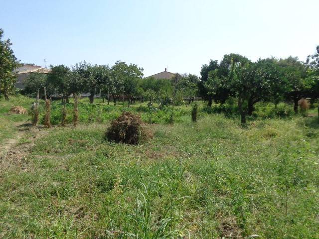 Terreno a Marina di gioiosa ionica in Strada Galea, 38 - Foto 3