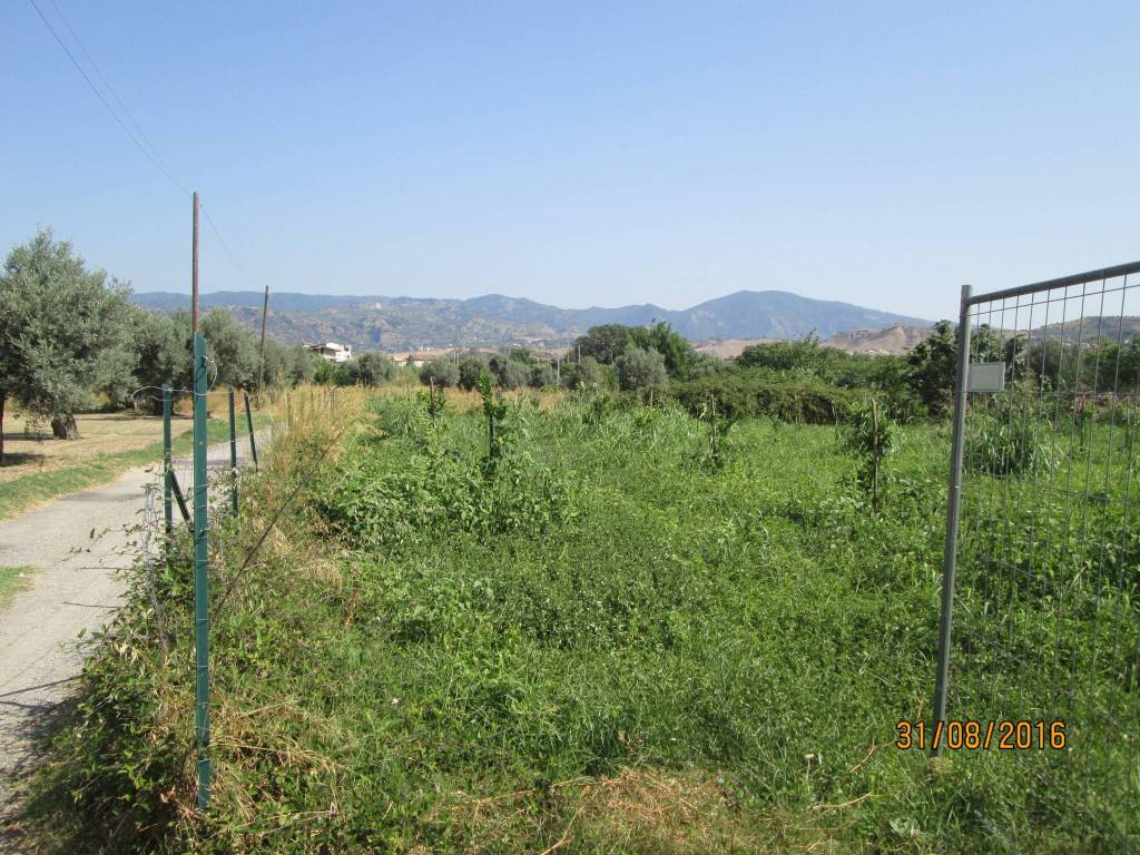 Terreno a Marina di gioiosa ionica in Strada Circhetto, 57 - Foto 2