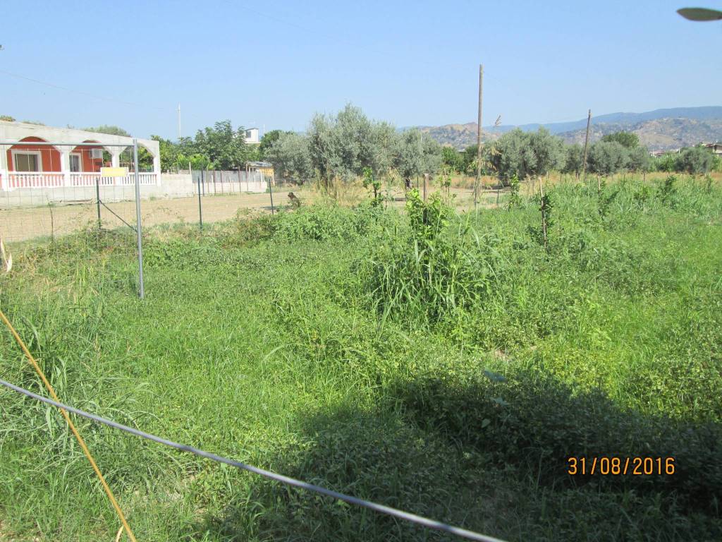 Terreno a Marina di gioiosa ionica in Strada Circhetto, 57 - Foto 4