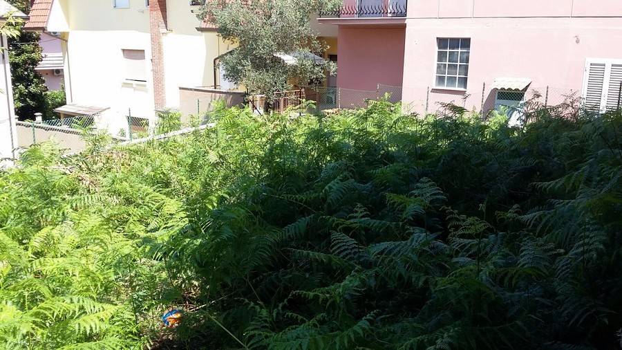 Villa a Ceccano in Via Madonna del Carmine - Foto 5