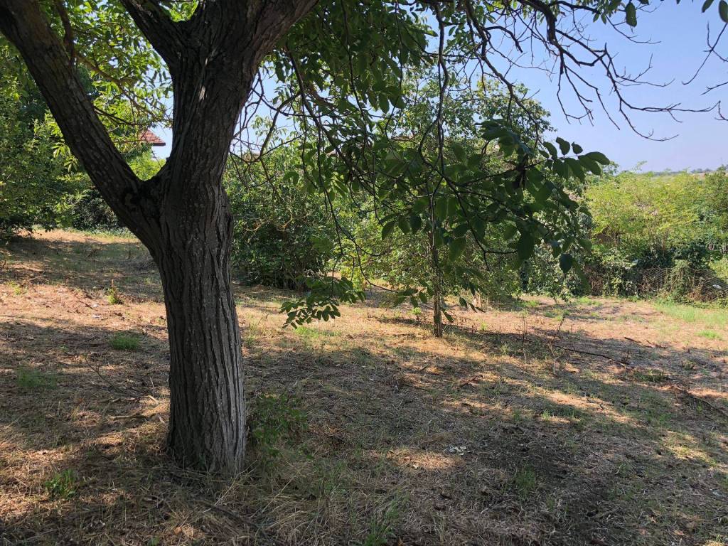 Terreno a Pietrelcina in Via Santa Maria - Foto 4