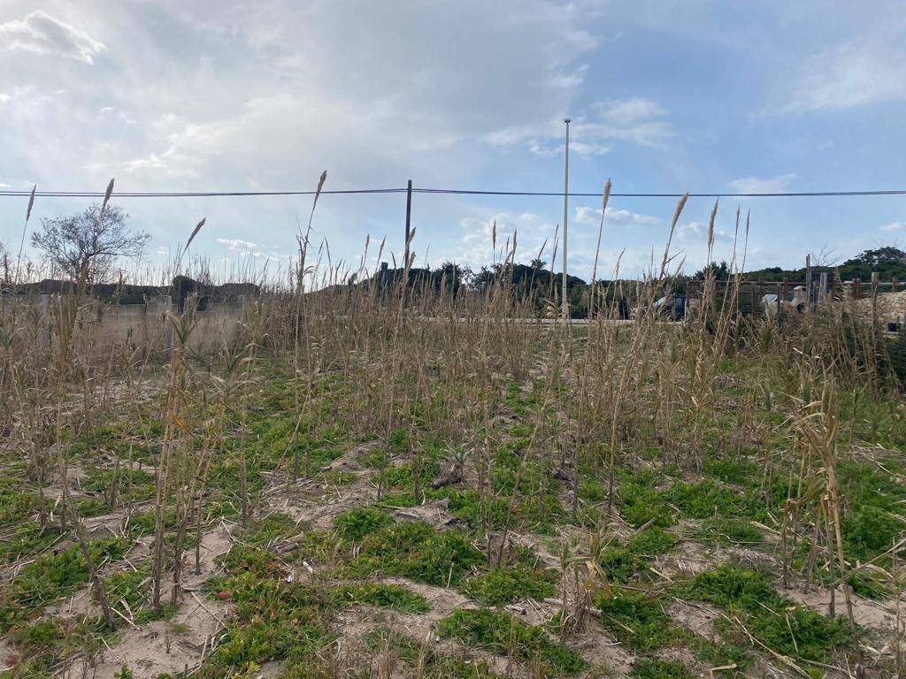 Terreno a Manduria in Via Litoranea Salentina - Foto 4