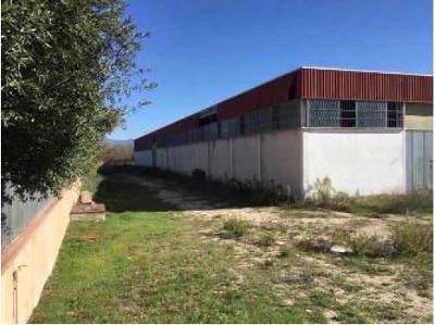Immobile a Bettona in Via Ponte di Ferro, snc Frazione Passaggio Stradario 80133 - Loc. Campagna - Foto 3